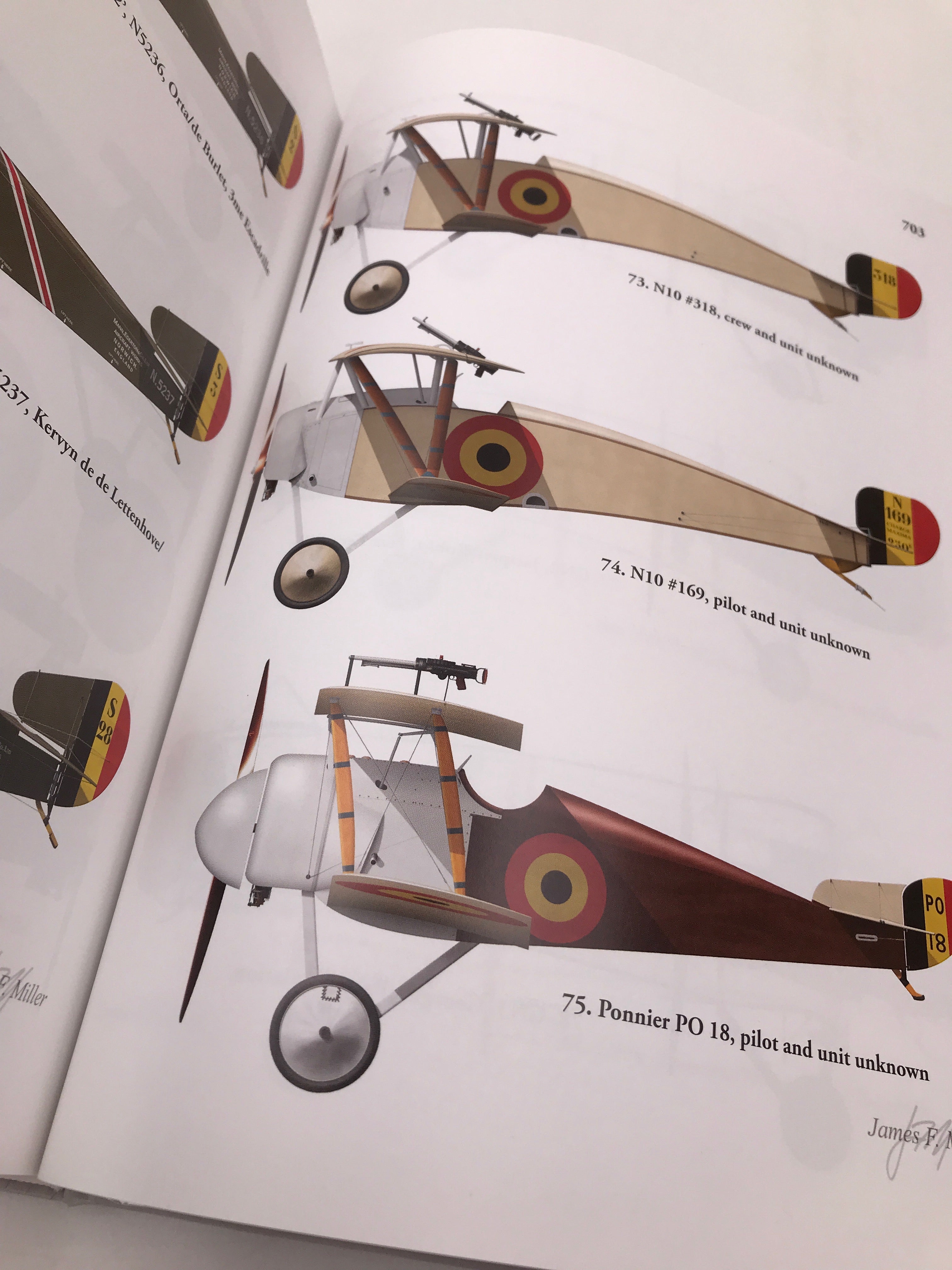 The Belgian Air Service in the First World War