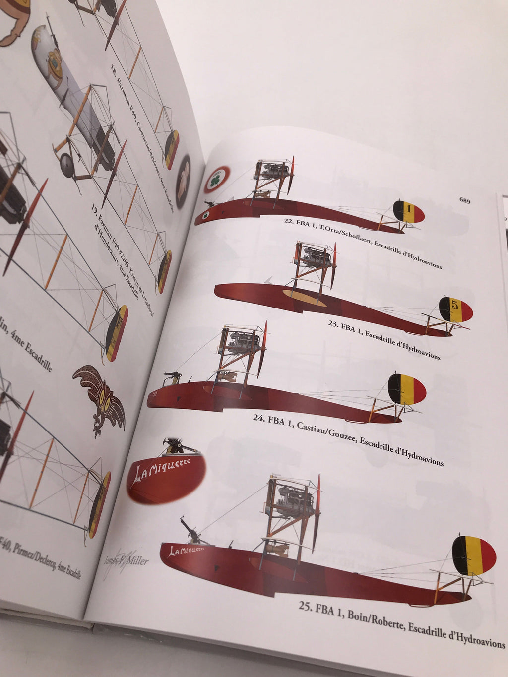 The Belgian Air Service in the First World War
