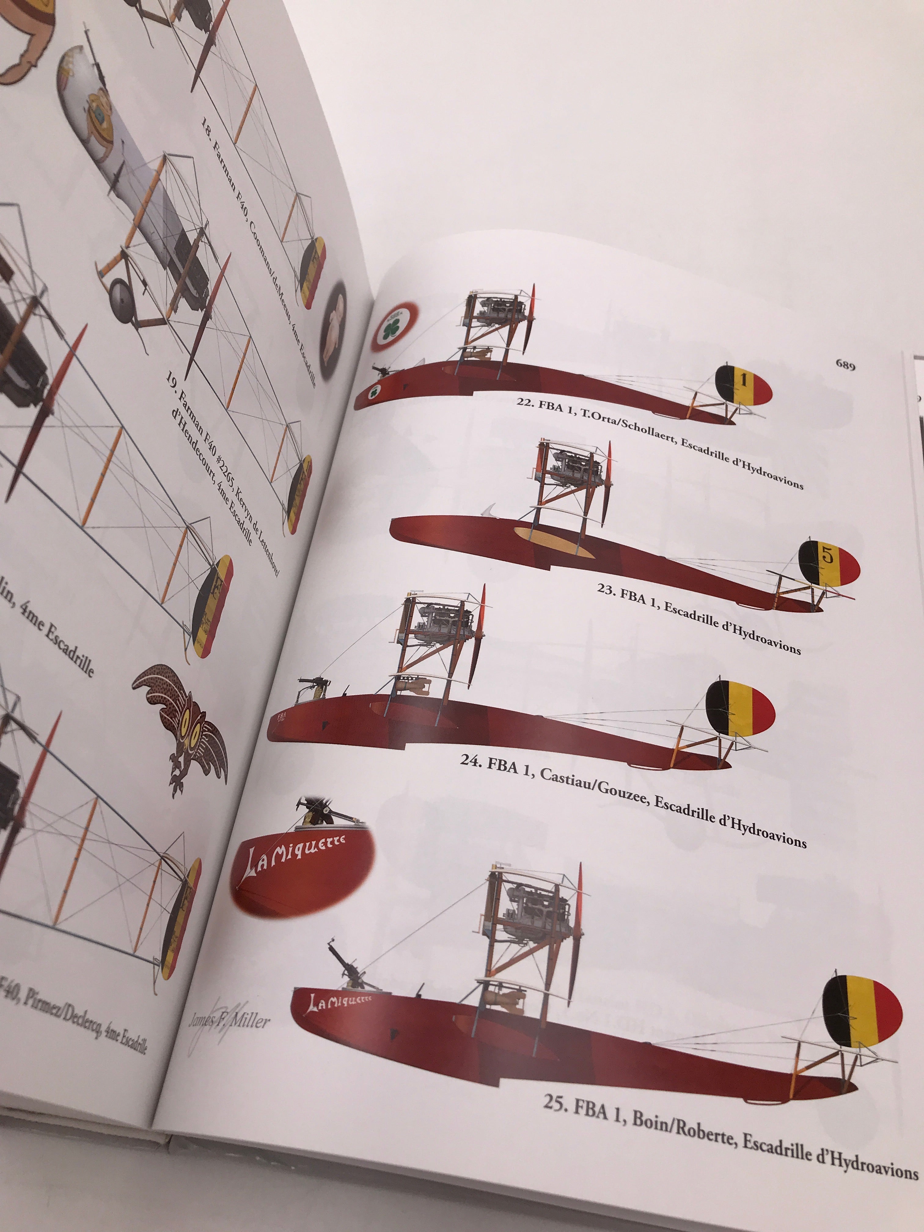 The Belgian Air Service in the First World War
