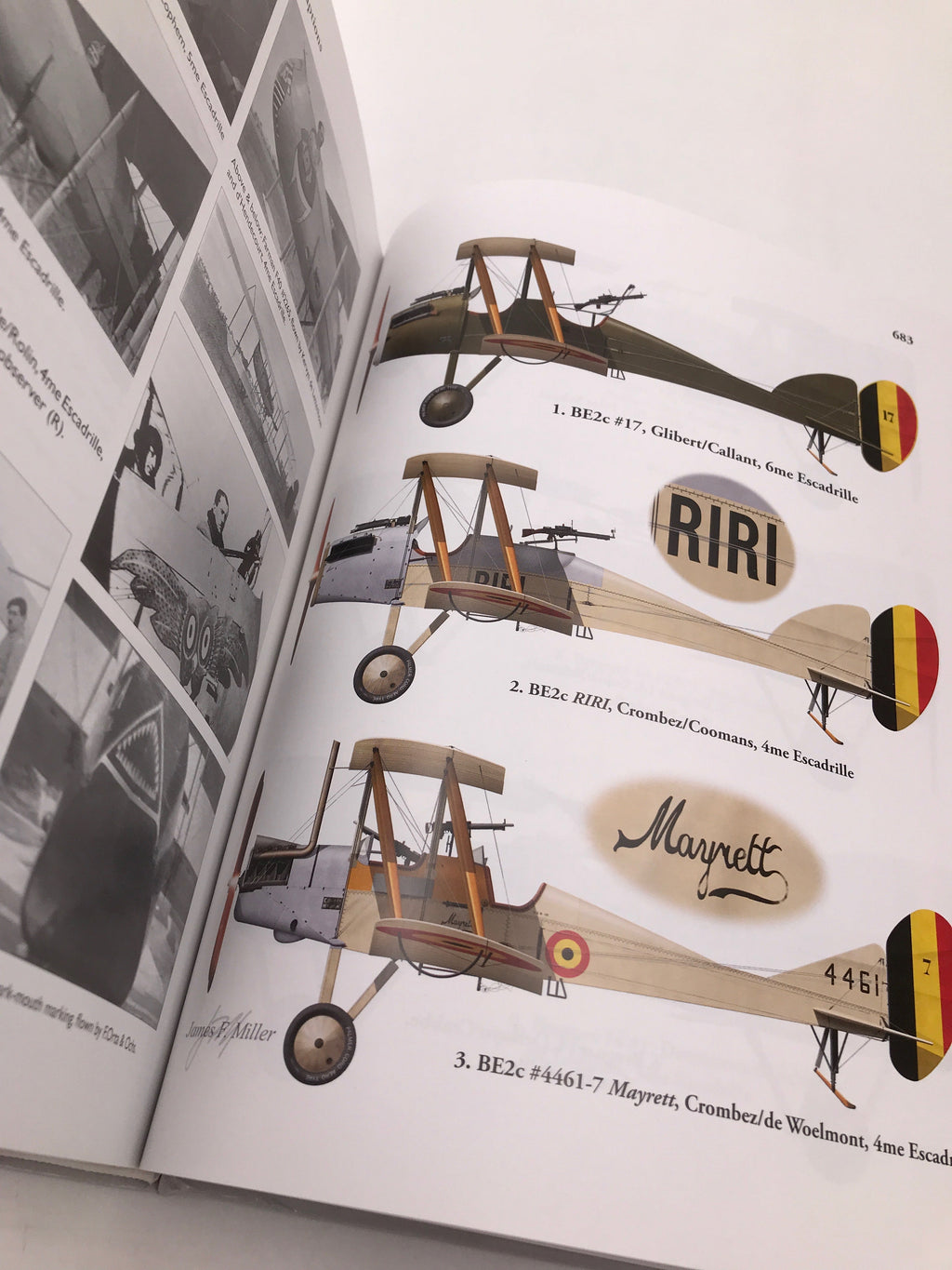 The Belgian Air Service in the First World War
