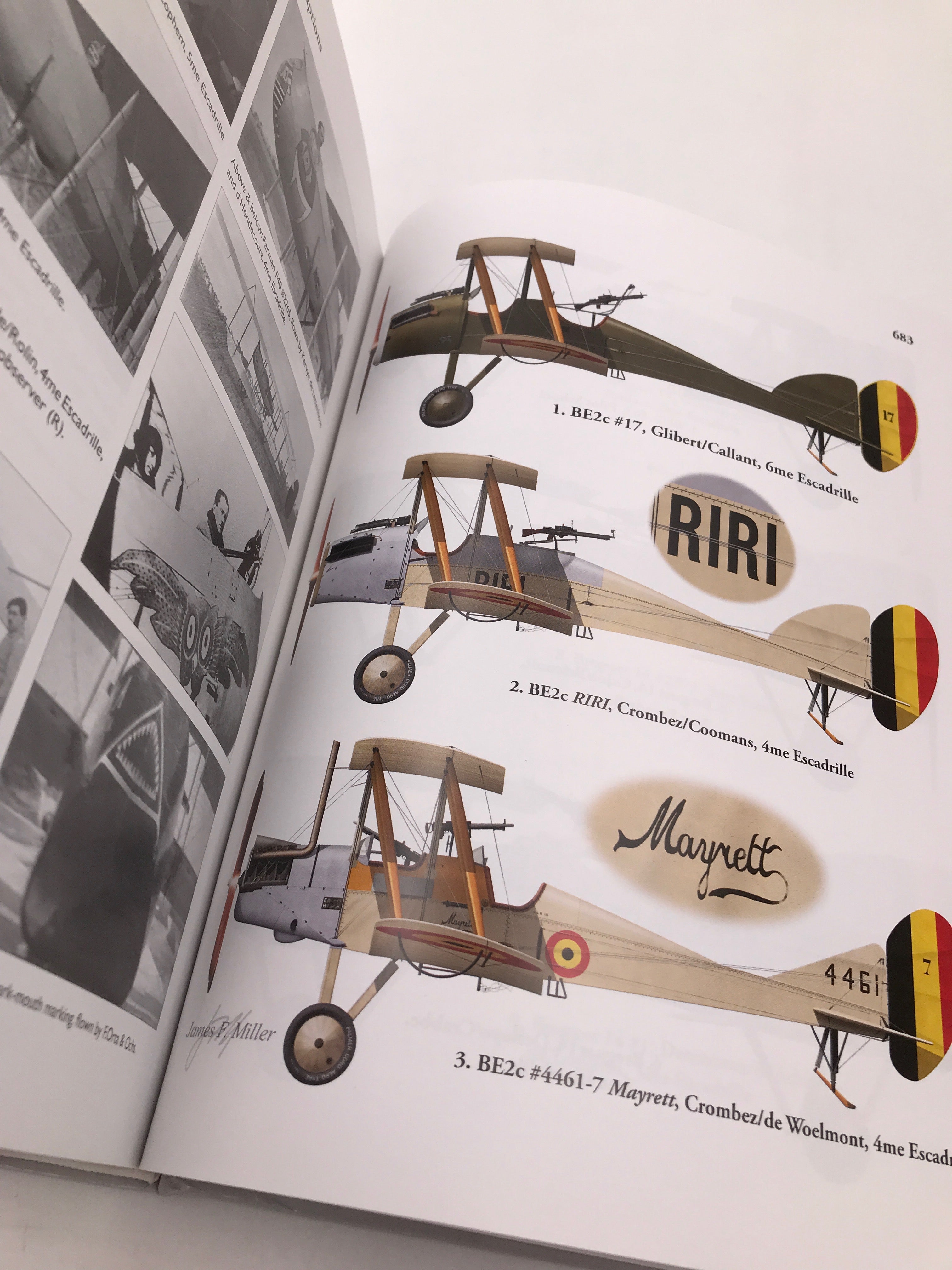 The Belgian Air Service in the First World War